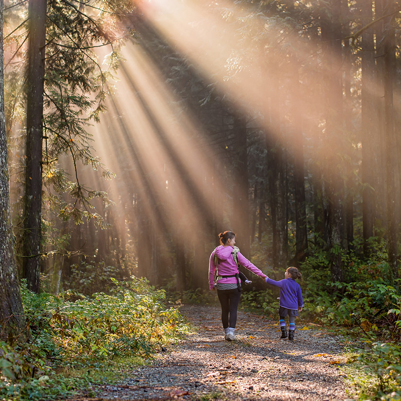 Family Hiking in Michigan | Michigan Travel Club